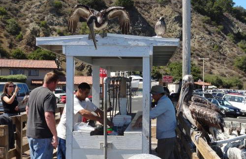 Avila Beach Retreat - Foto 2