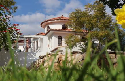 Quinta Da Mimosa - Foto 14