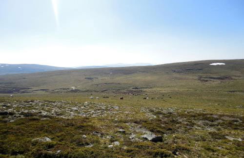 Macheta's Coutry House - Foto 71