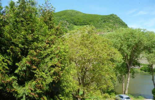 Haus Lowe Ferienwohnungen - Foto 54