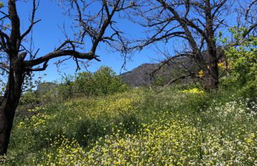 Casa-Finca El Maipéz de Tejeda - Foto 28