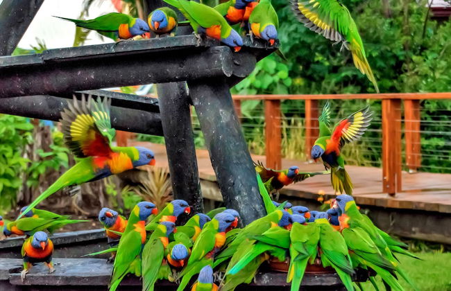 Discovery Parks - Airlie Beach - Foto 78