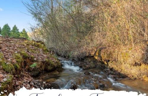 TNT II - Creek Front, Hot Tub, Fire Pit - Foto 20