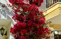 Casa Veranera Vera Costa - Foto 11