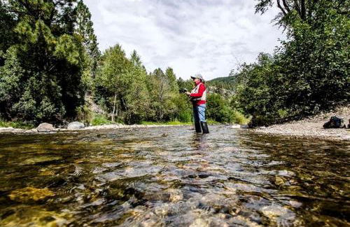 Create Lasting Memories: Family-Friendly Rustic Cabin in New Mexico's Backcountry - Foto 25