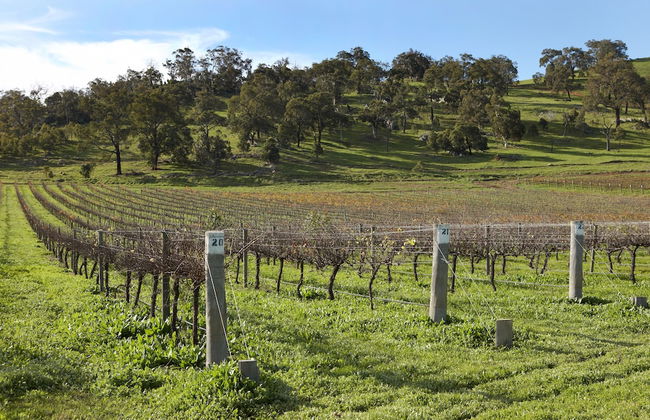 Brockman Park Estate - Foto 29