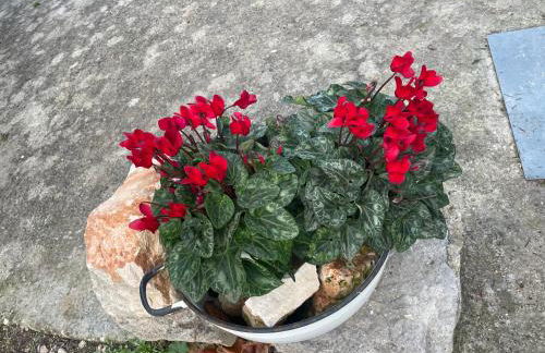 Il trullo di nonno Licchio - Foto 33