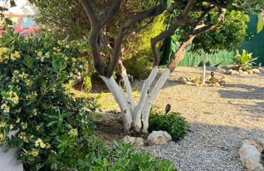 Sunny house - Foto 78