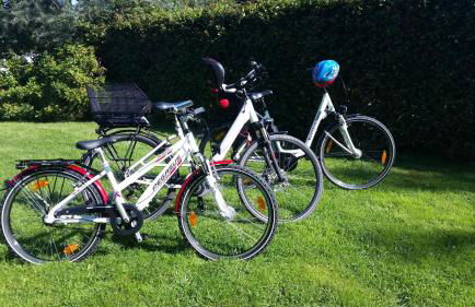 Ferienwohnungen Auf der Düne - Foto 38