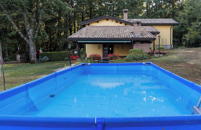 Giardino Boschivo - Foto 8