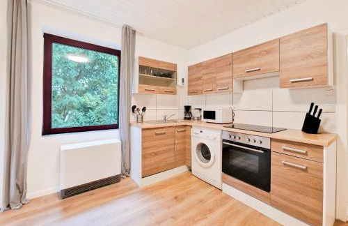 Tolstov Apartments - 1 , 2 and 3 Room Monteur Apartments - Photo 45