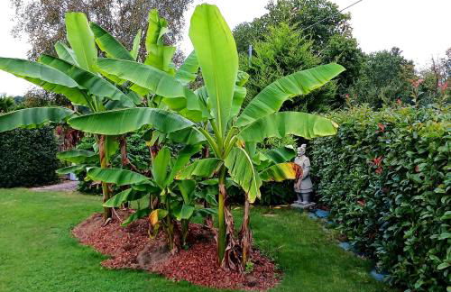 gîte en campagne Lamégritnière - Foto 52