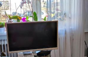 FeWo Sartorius am Hemsberg - Foto 11