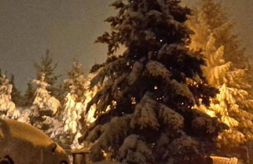 Klein aber fein - Apartment für 2 bis 4 Personen - Foto 33