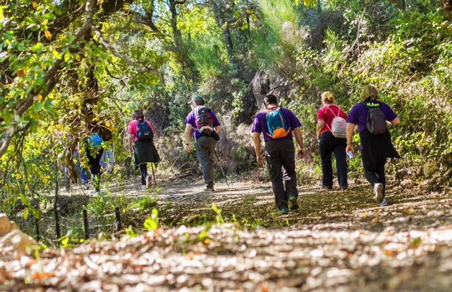 Tour privado por las Lagunas de Ruidera - Photo 4
