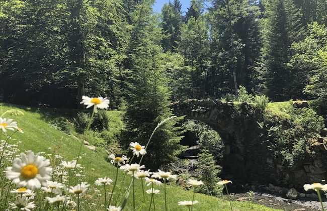 Le Moulin des Olirics - Foto 21