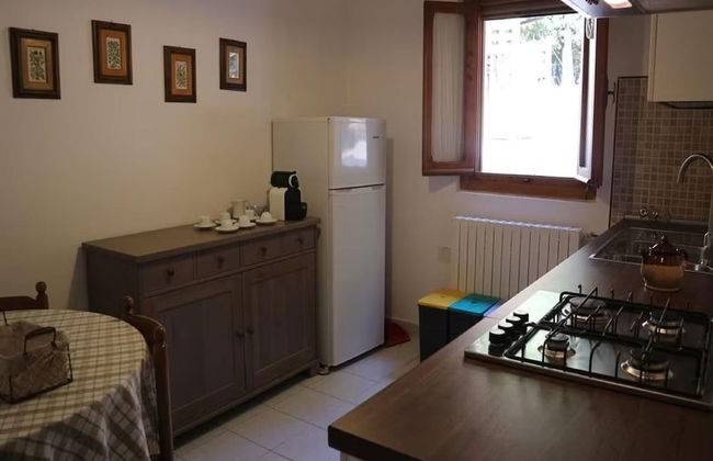 Agriturismo Poggio di Montepescoli - Il Noce - Foto 4