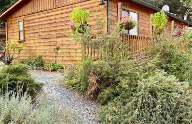 B-B Ranch Cottage~Heart of Gold Country~*HOT TUB* - Foto 20