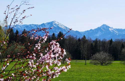 Ferienwohnung mit Garten und Bergblick - Foto 26