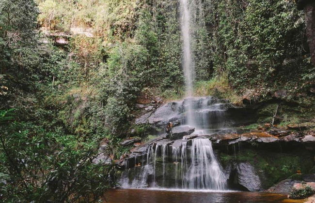 Rosario Waterfall Hiking Tour - Foto 2