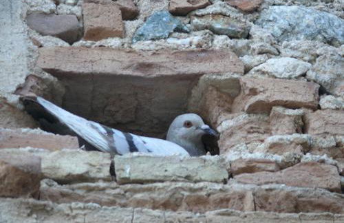 Agriturismo Torre Del Golfo - Foto 52