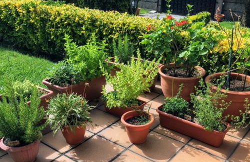 Un Paraiso Junto al Mar - Foto 16