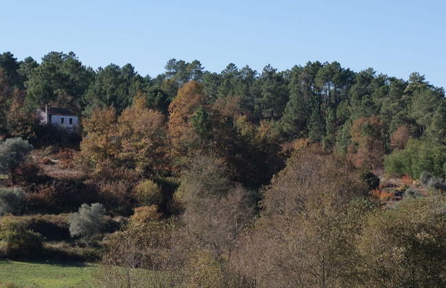 Detached Holiday Home With Shared Pool and Views - Foto 21