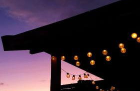 Canary Wild House 2 - Photo 36