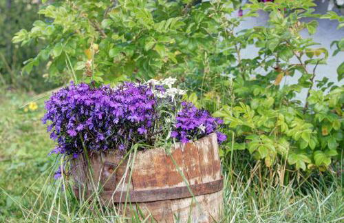 Marcolski home - Foto 31