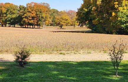 The Yellow House - Foto 7