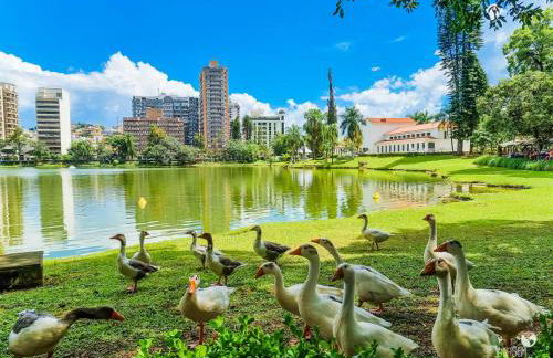 Flat Diamond São Lourenço TOP 308 MG - Foto 13