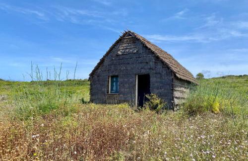 Boutique House - Foto 78