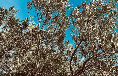 Casa La Brisa - Foto 31