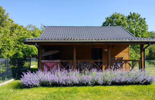 Domki w Parku na Mazurach - Foto 1