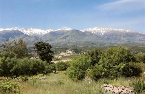 5-bedroom Country House in Crete - Olive Grove Retreat - Foto 36