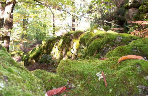 El Roble, casitas rurales - Foto 29