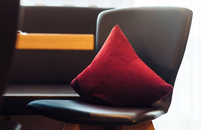 Schneeweiss - Foto 60