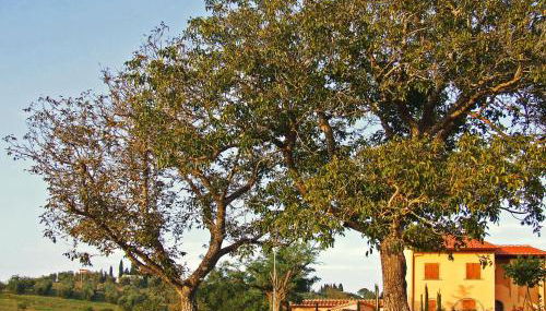 Apartment Le Palaie - 'Padronale' - PEC209 by Interhome - Foto 4