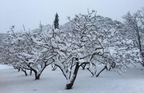 260m2 Unique Mountain House in Lilea Parnasos - Foto 157