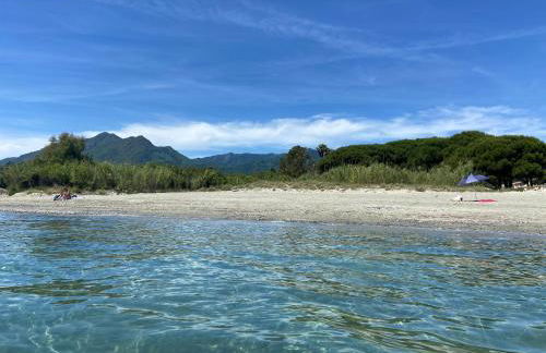 Appartement T3 bord de mer résidence Aqualinda E55 - Foto 21