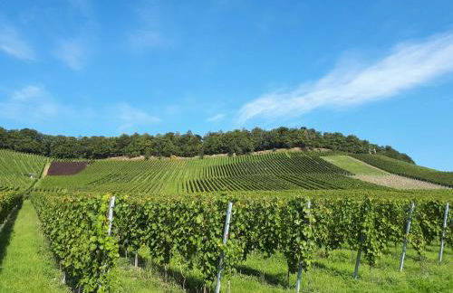 Weinlodge am Geissberg - Foto 15