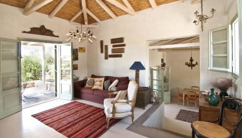 Salvia - Foto 3, Garden view