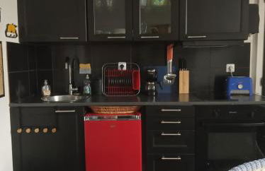 Appartement lumineux en centre ville et tout prêt de la nature - Foto 9