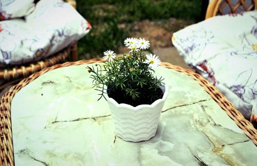 Domek nad jeziorem, a morze w gratisie - Foto 13