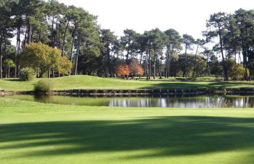 Location d Armelle - Moliets - Foto 63