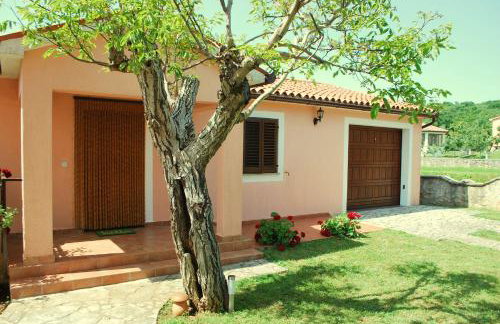 Villa Dorina - Foto 19