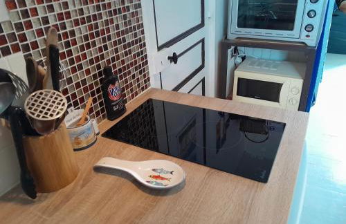 Petit bijou à Saint Pair sur Mer - Foto 9