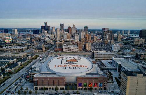 Dwntwn Detroit Wlk to DMC Arena WSU FordField - Photo 36