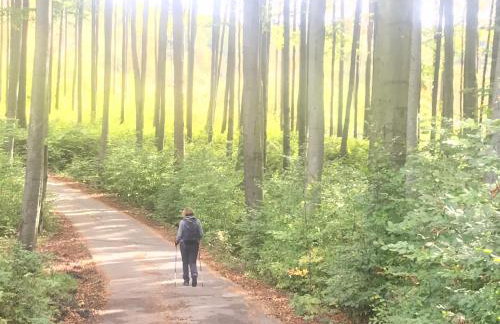 Apartamenty Carpe Diem - Photo 54