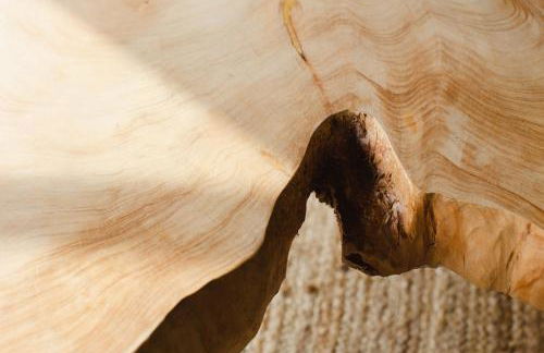 Apedeceo Belesar Villa, Ribeira Sacra, Galicia - Foto 8